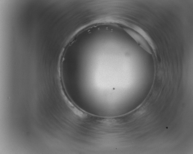 X0000069831388200605261830