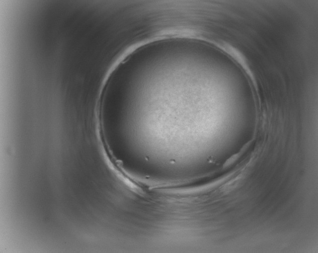 X0000069831389200605261830