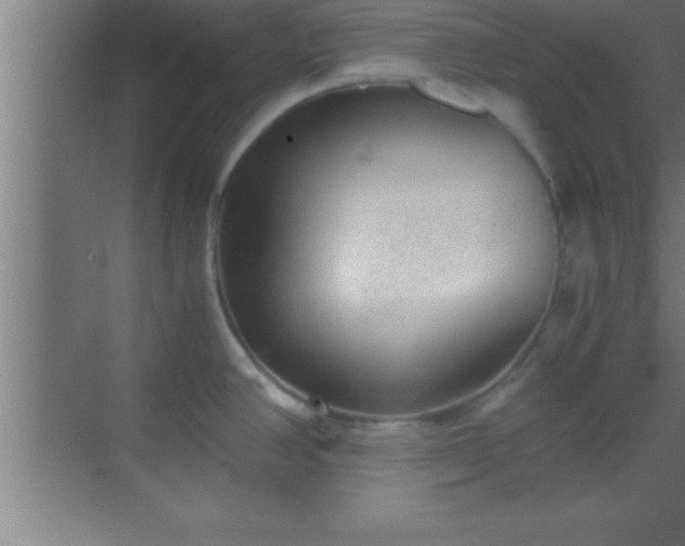 X0000069831390200605261829