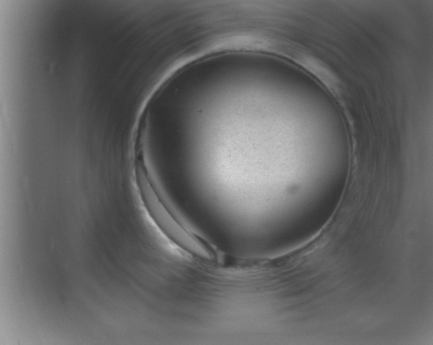 X0000069831392200605261829