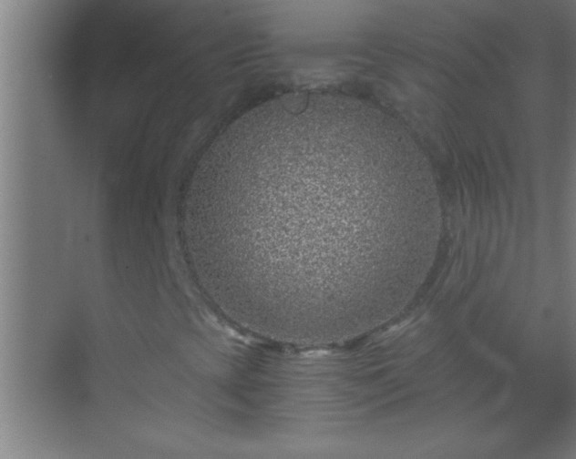 X0000069831393200605261829