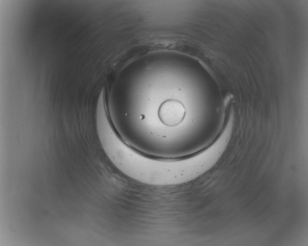 X0000069831394200605261829