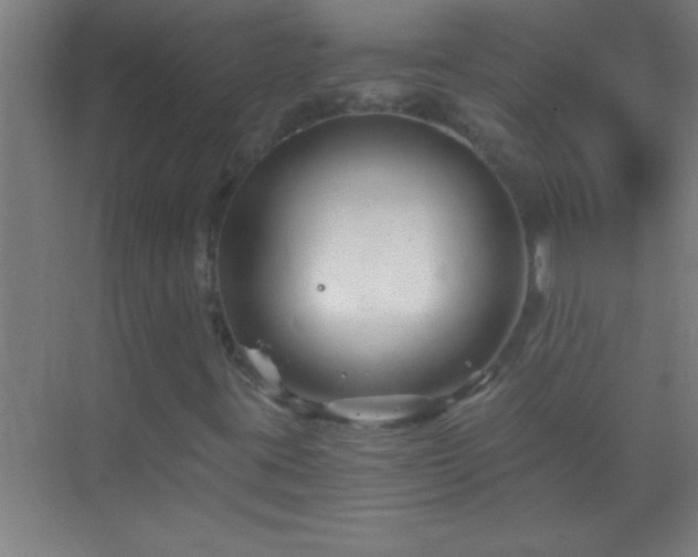 X0000069831395200605261829