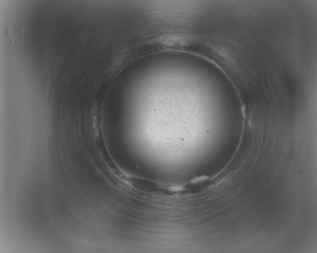 X0000069831396200605261829