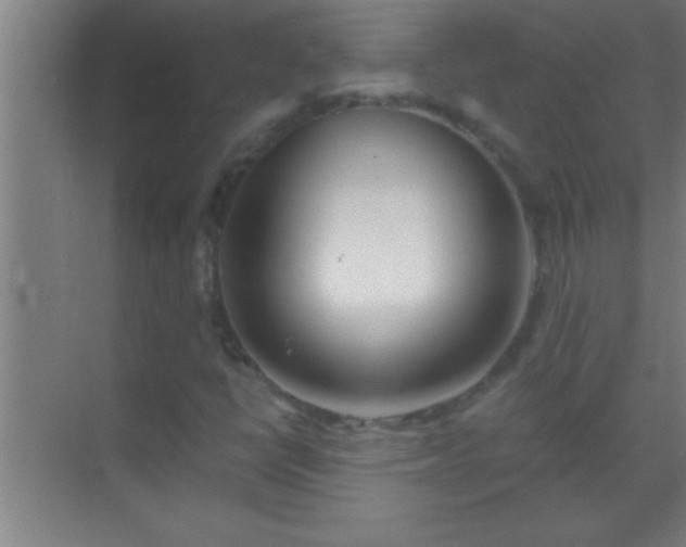 X0000069831398200605261829