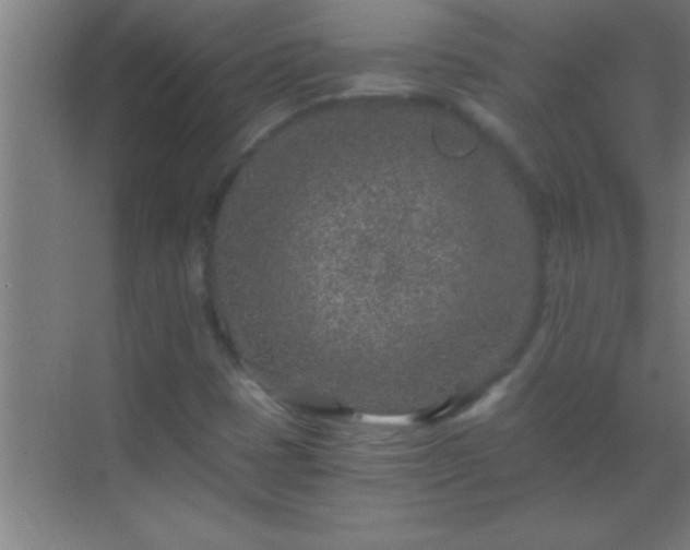 X0000069831401200605261829