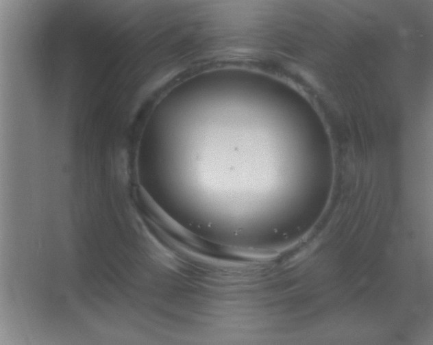 X0000069831402200605261829