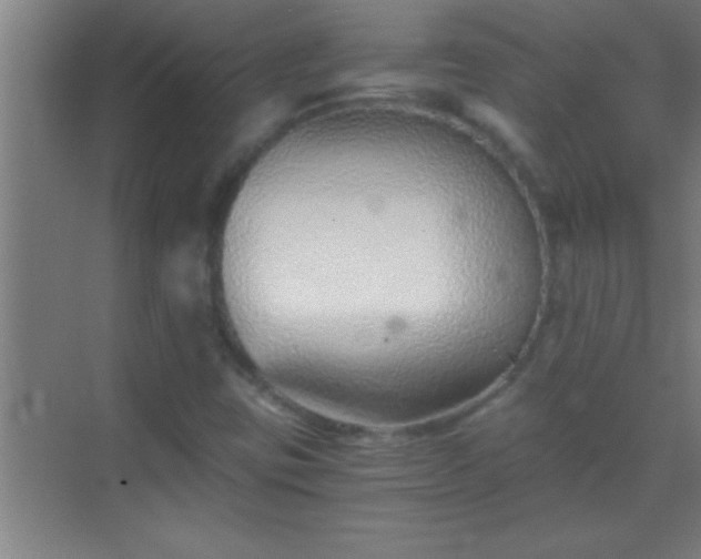 X0000069831403200605261829