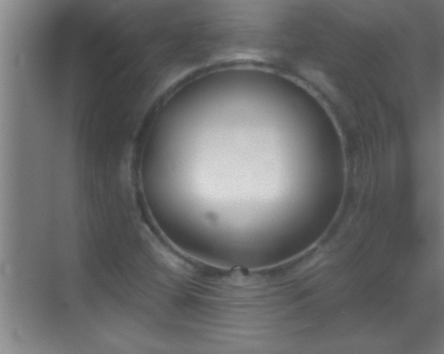 X0000069831404200605261829