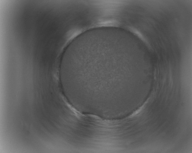 X0000069831405200605261829