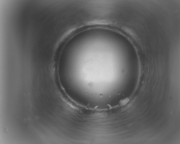 X0000069831406200605261829