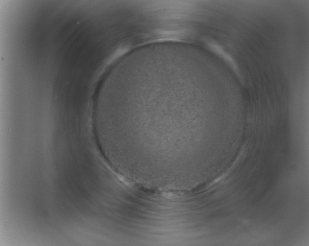 X0000069831411200605261829