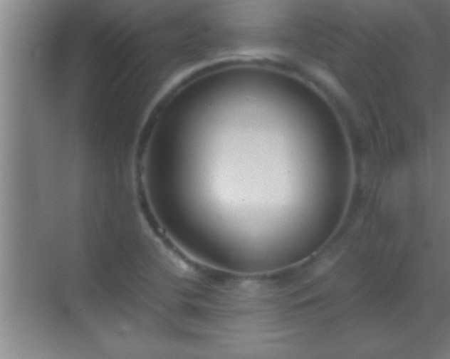 X0000069831412200605261829