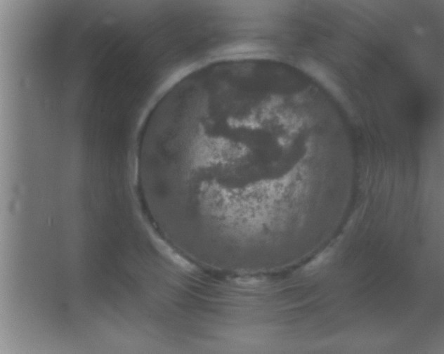 X0000069831413200605261829