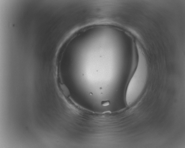 X0000069831414200605261829