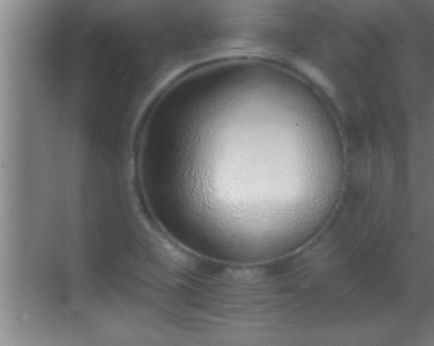 X0000069831415200605261829