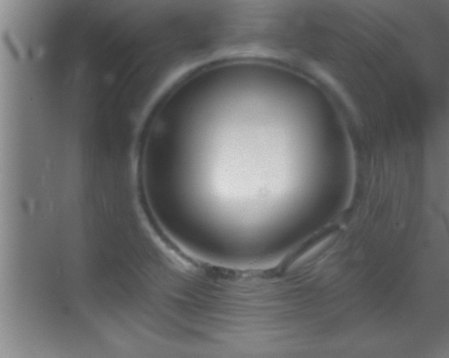 X0000069831416200605261829