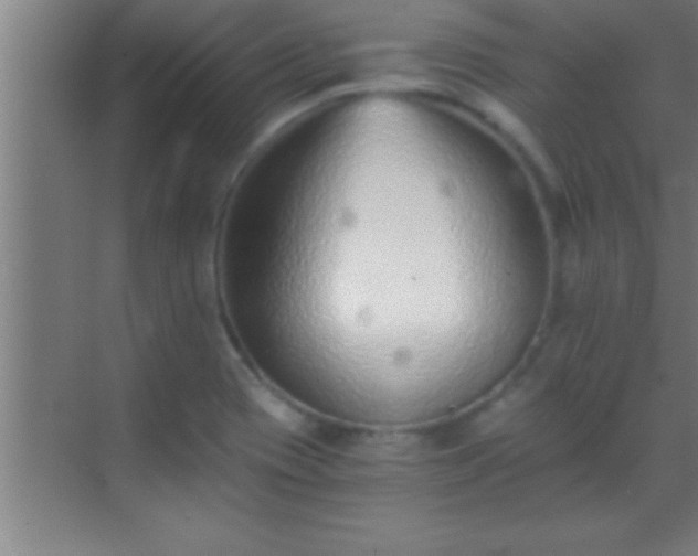 X0000069831417200605261829