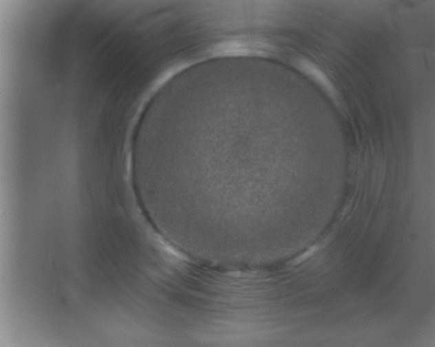 X0000069831419200605261829