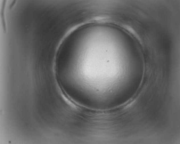 X0000069831421200605261829