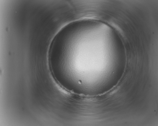 X0000069831423200605261829