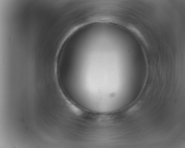 X0000069831424200605261829