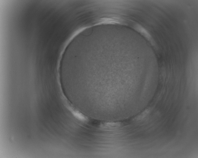 X0000069831427200605261829