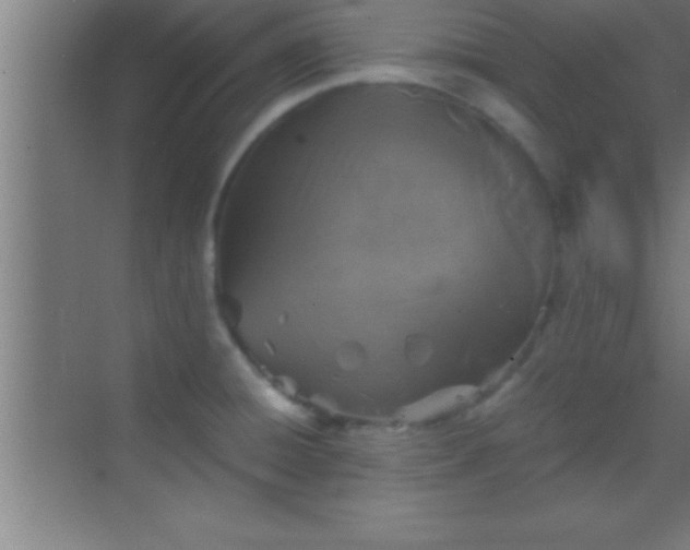 X0000069831428200605261829