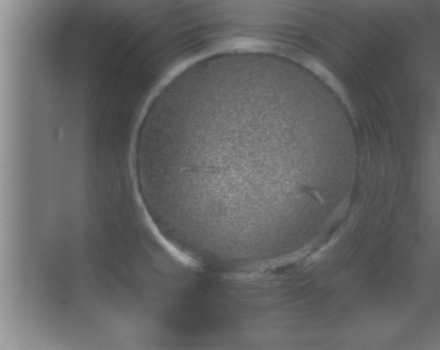 X0000069831429200605261829