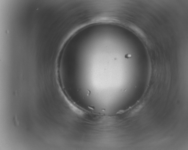 X0000069831430200605261829