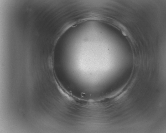 X0000069831433200605261829