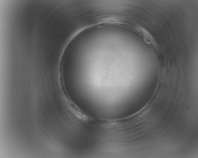 X0000069831435200605261829