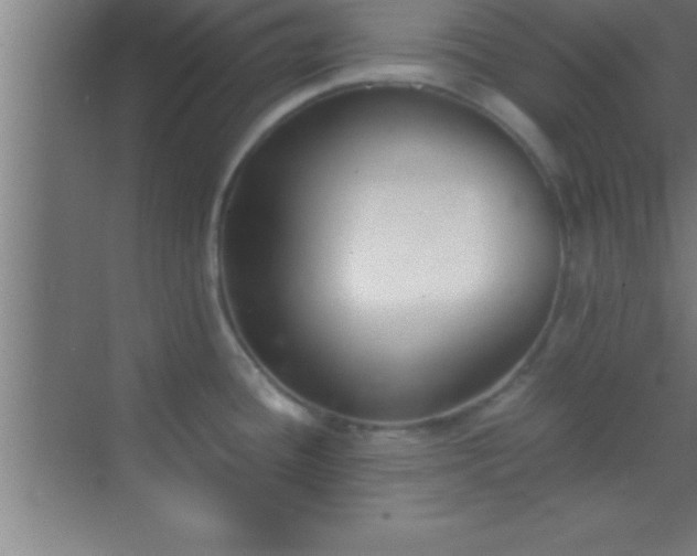 X0000069831436200605261829