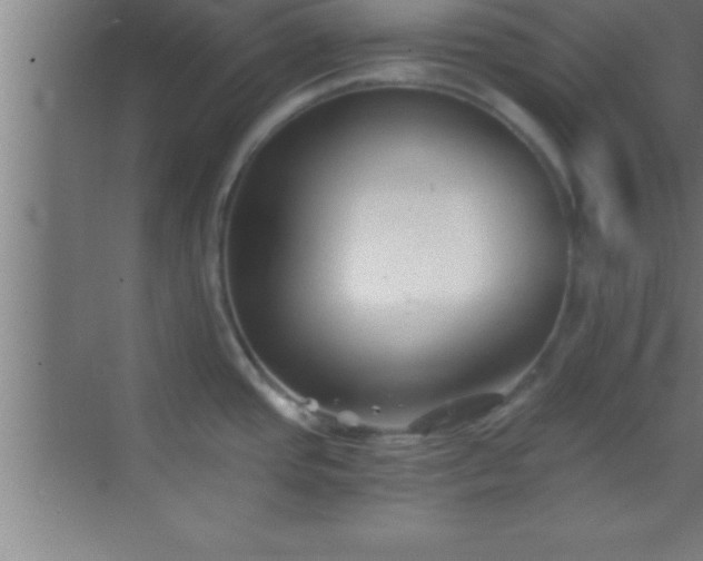 X0000069831437200605261829