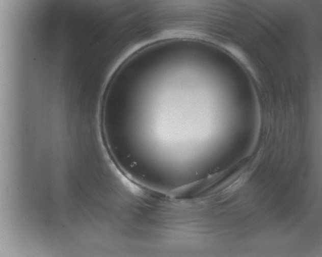 X0000069831438200605261829