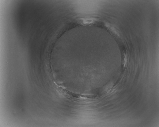 X0000069831441200605261829