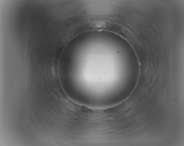 X0000069831442200605261829