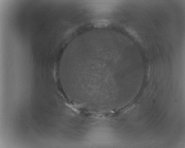 X0000069831445200605261829