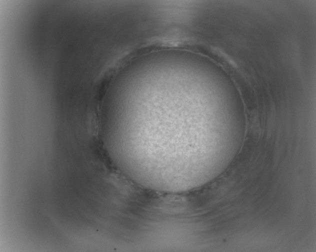 X0000069831446200605261829