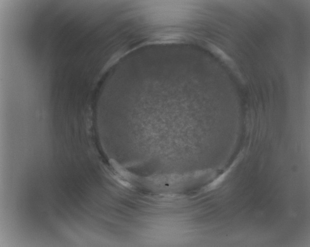 X0000069831449200605261829