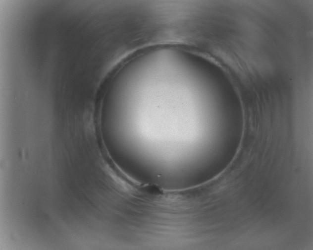 X0000069831452200605261828