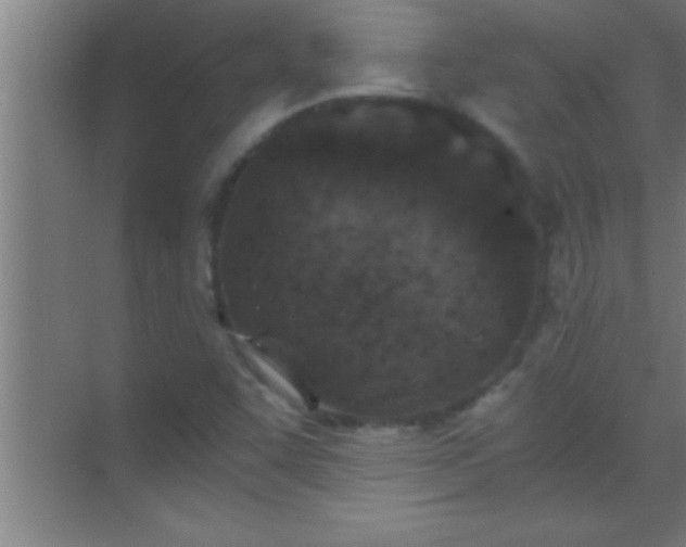 X0000069831455200605261828