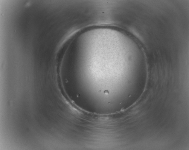 X0000069831456200605261828