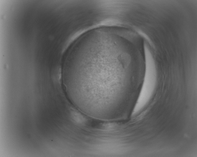 X0000069831461200605261828