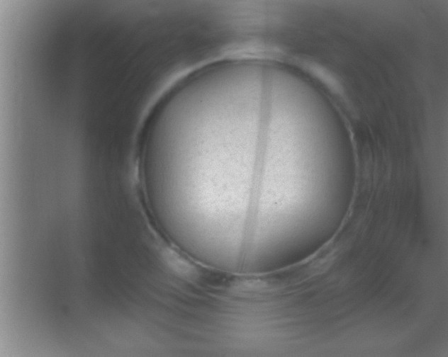 X0000069831462200605261828