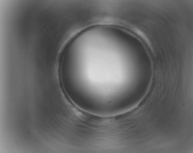 X0000069831464200605261828