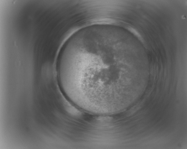 X0000069831466200605261828