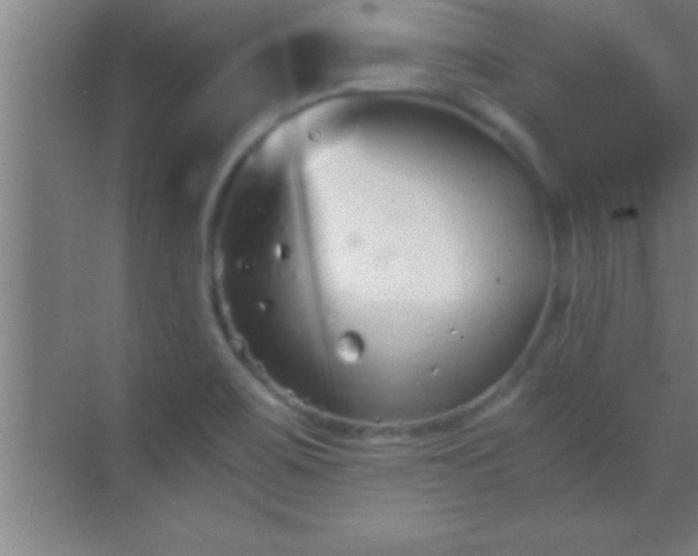 X0000069831467200605261828