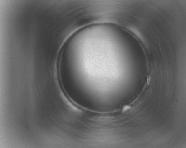 X0000069831468200605261828