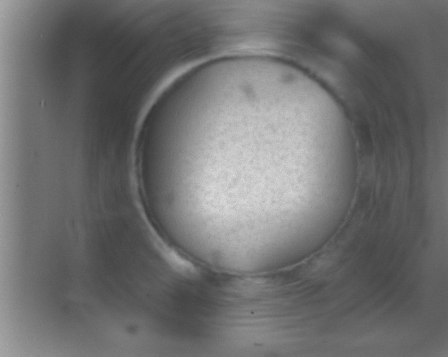 X0000069831470200605261828